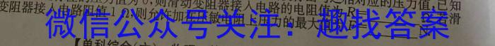 河北省2023-2024学年度八年级下学期期中综合评估（6LR）物理试卷答案