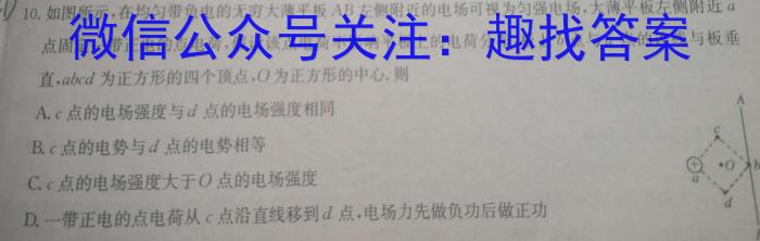 河北省2023-2024学年度第二学期高二年级5月份月考试卷（242835D）物理试卷答案