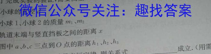 文博志鸿 2024年河南省普通高中招生考试模拟试卷(导向二)物理试题答案