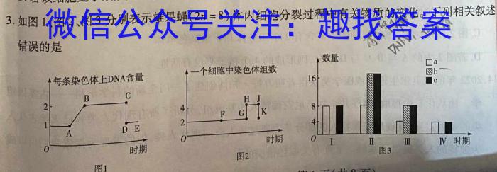 ［合肥二模］2024年合肥市高三第二次教学质量检测生物学试题答案