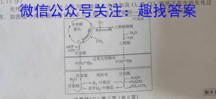 安徽省2024年九年级5月考试（无标题·试题卷）生物