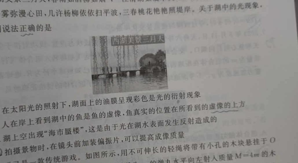 [今日更新]2024届炎德英才大联考长郡中学模拟试卷(一).物理试卷答案