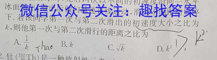 陕西省2024年初中学业水平考试冲刺(二)2物理试卷答案