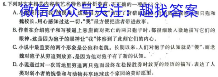 河北省沧衡八校联盟高三年级2023-2024学年上学期期中考试语文