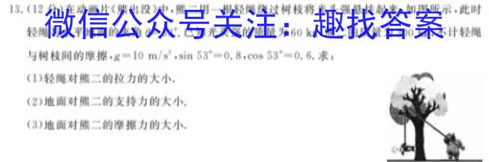 河北省2023-2024学年高二(上)第三次月考(24-182B)物理`