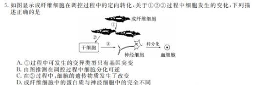 江西省2023-2024学年高一上学期11月联考[C-024]生物