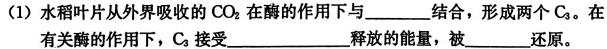 安徽省2023~2024学年度届八年级阶段诊断 R-PGZX F-AH(三)生物学试题答案