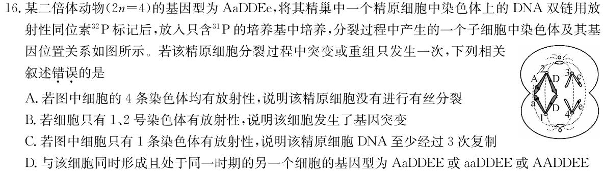 江苏省2023-2024学年第一学期高一年级第二次校际考试生物学试题答案