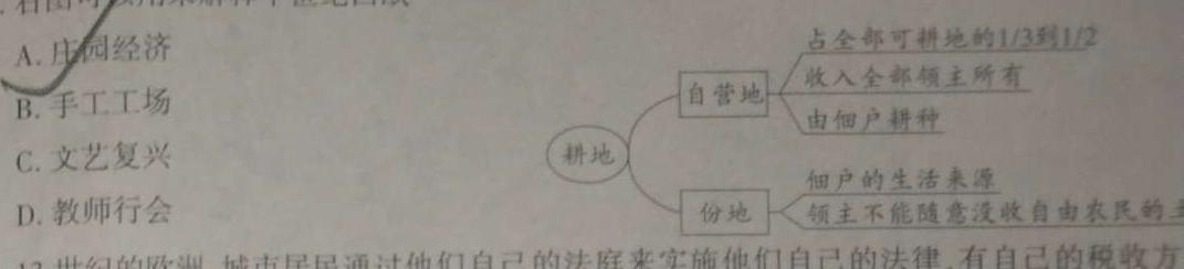 黑龙江明水一中2024届高三年级第三次教学质量检测(9080C)历史