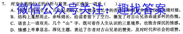 高考快递 2024年普通高等学校招生全国统一考试信息卷(一)1新高考版/语文