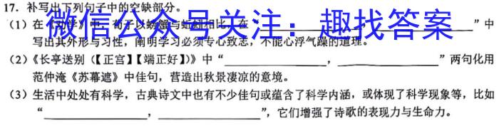 山西省2023-2024学年九年级第一学期期中自主测评（11月）语文