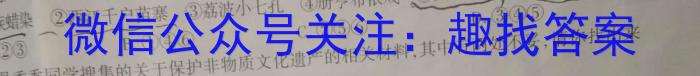 桂柳文化 2024届高考桂柳鸿图模拟金卷(四)语文