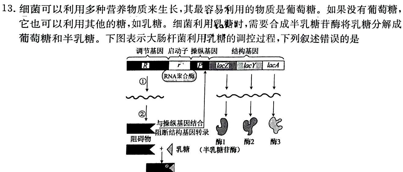 2024届滚动联考05生物