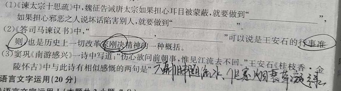 2023-2024学年海南省高考全真模拟卷（四）语文试卷 答案