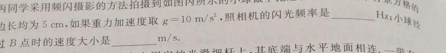 2023-2024学年拉萨市上学期2024届第一次模拟考试物理试题.