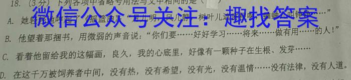 2024年普通高等学校全国统一模拟招生考试 金科 新未来11月联考语文