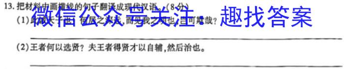 陕西省2023秋季九年级第二阶段素养达标测试（B卷）巩固卷/语文