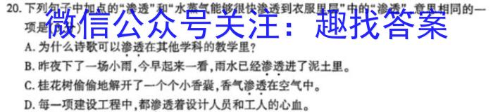 安徽省2023-2024学年度第一学期九年级阶段性评价（11月）/语文