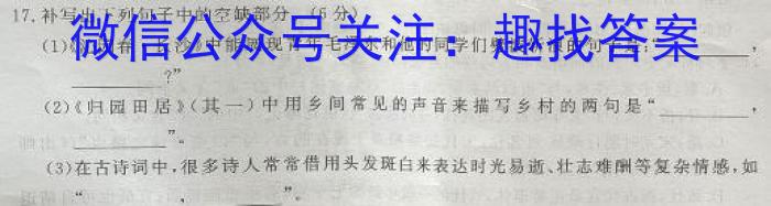 衡水金卷先享题摸底卷2023-2024高三一轮复习摸底测试卷(山东专版)3/语文