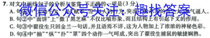 百师联盟2023-2024学年高二年级11月期中考试语文