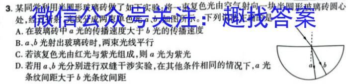 高考快递 2024年普通高等学校招生全国统一考试·信息卷(三)3新高考版物理试题答案