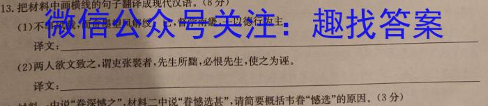 2023-2024学年安徽省九年级上学期阶段性练习（三）语文