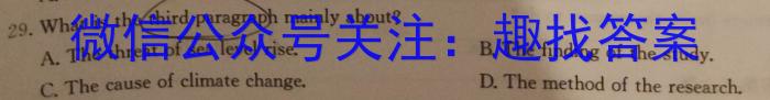 九师联盟2024届高三12月质量检测（新教材-L）英语