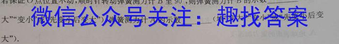 陕西省2024届九年级上学期11月期中联考z物理