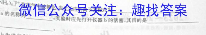 3九师联盟2024届高三12月质量检测（L）化学试题