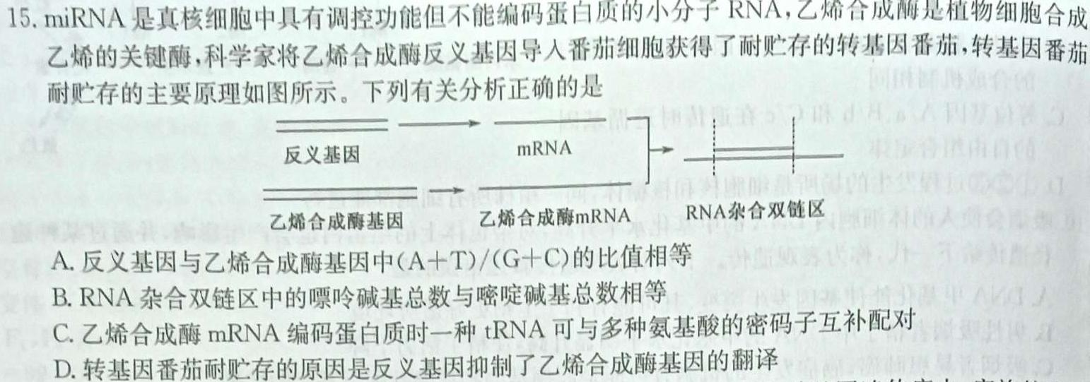 2024届湖北省高三12月联考(24-16C)生物