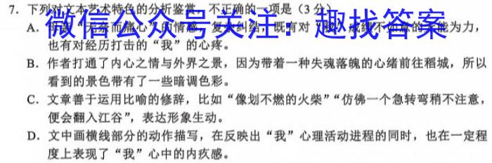 安徽第一卷·2023-2024学年安徽省七年级教学质量检测(12月)语文