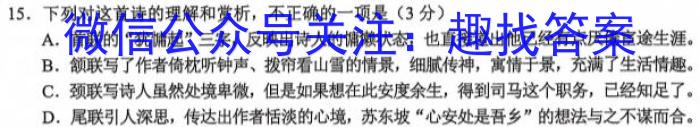 河北省2023~2024学年高三(上)期中考试(24-165C)/语文