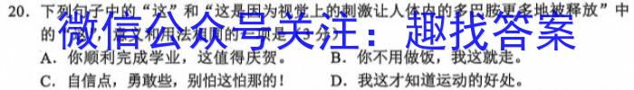 2024新高考单科综合卷(六)/语文