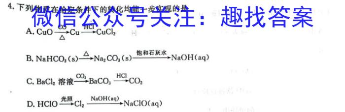 q陕西省2024届九年级上学期11月期中联考化学