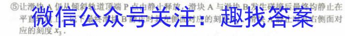 江西省2024届九年级第三次阶段适应性评估 R-PGZX A-JX物理试卷答案