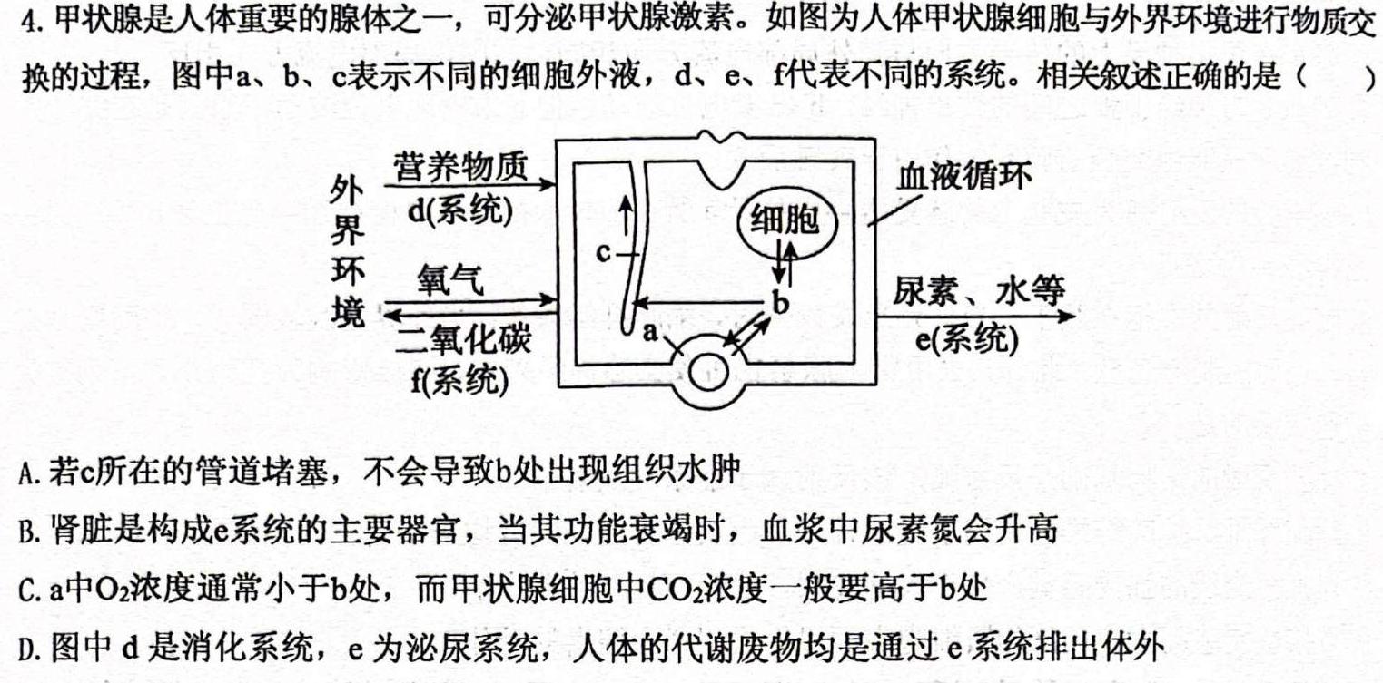 河南省2026届河南名校联盟12月考试生物学试题答案