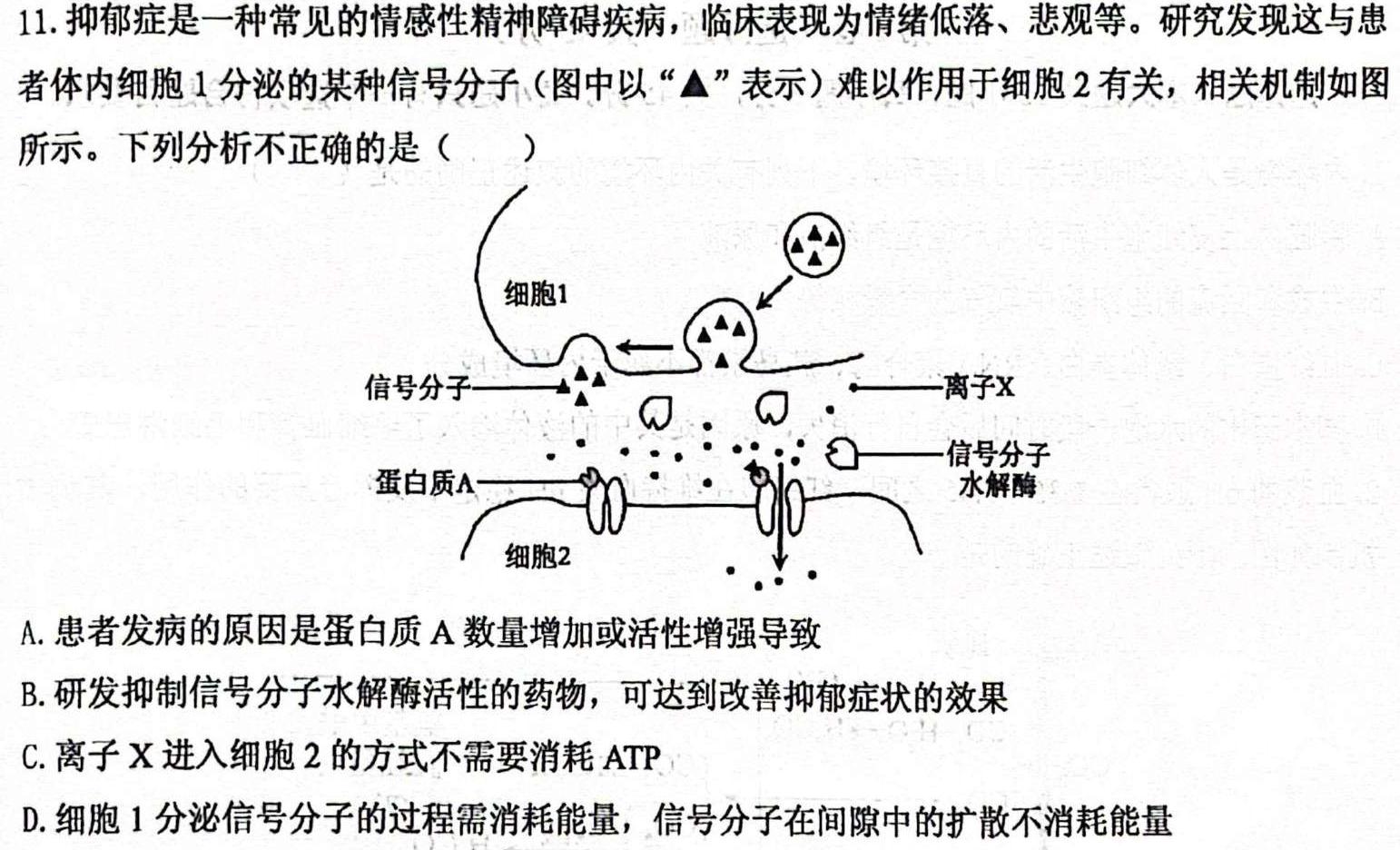 2024届江西省九江市九年级教学质量检测（二）生物学试题答案