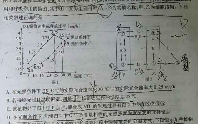 2023~2024学年度高二高中同步月考测试卷 新教材(四)生物学试题答案