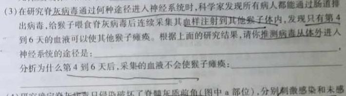 [泸州一诊]2023-2024学年泸州市高2021级第一次教学质量诊断性考试生物学试题答案