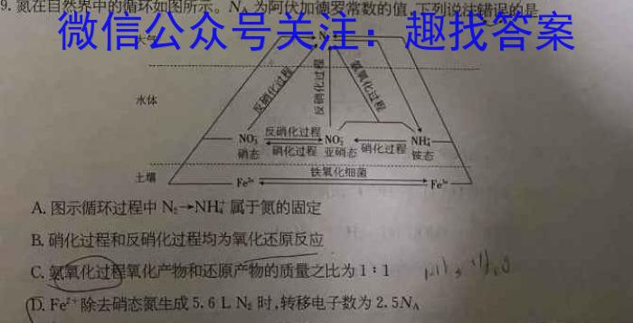 q安徽省2023-2024学年九年级第一学期蚌埠G5教研联盟期中考试化学