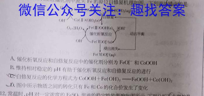 q安徽省蚌埠市2023-2024学年第一学期九年级蚌埠G5教研联盟期中考试化学