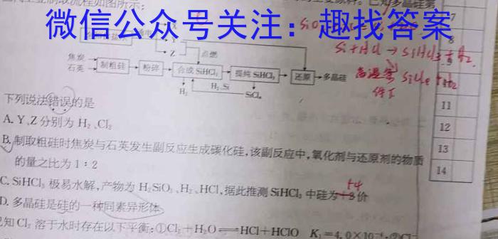 q四川省2024届高三试题12月联考(ⓞ)化学