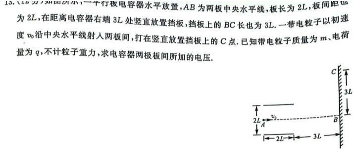 [今日更新]西南·云师大附中2024届高三11月月考（白黑白白白黑白黑）.物理试卷答案