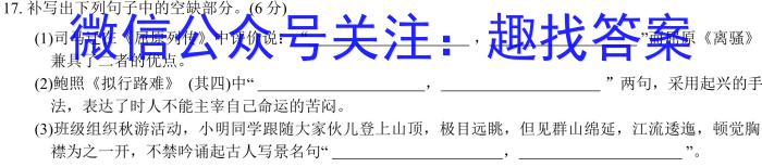 安徽省三海等地教育联盟2023-2024学年九年级上学期11月期中考试/语文