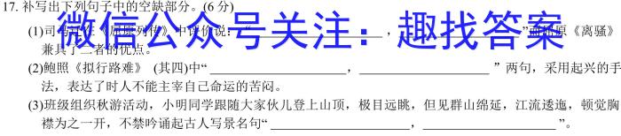 安徽省滁州市天长市2023-2024学年度（上）九年级第二次质量检测/语文