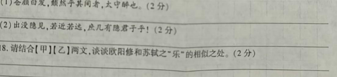 衡中同卷 2023-2024学年度高三一轮复习滚动卷(四)语文试卷 答案