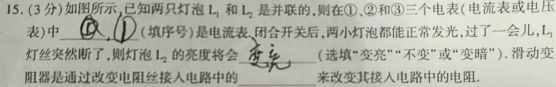 华大新高考联盟2024届高三11月教学质量测评(全国卷)物理试题.