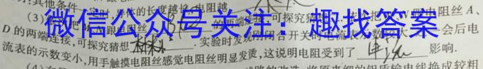 河南省驻马店市2023年秋季九年级中招第一次适应性测试l物理