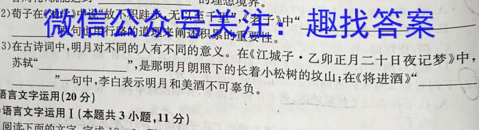 河北省石家庄市赵县2023-2024学年度第一学期期中学业质量检测九年级/语文