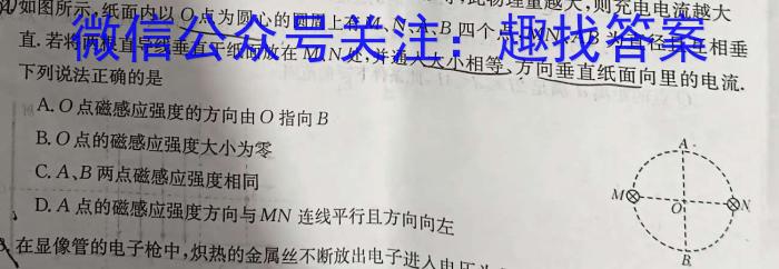 2023年秋季鄂东南省级示范高中教育教学改革联盟学校高二期中联考物理`